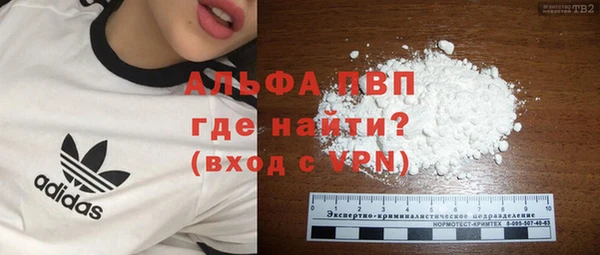 хмурый Бородино