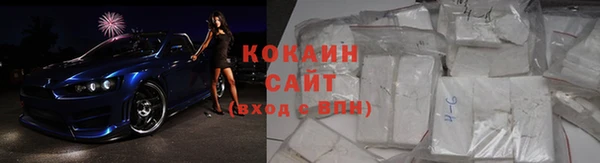 хмурый Бородино