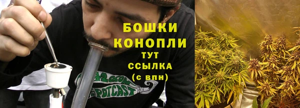 хмурый Бородино