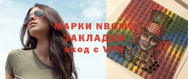хмурый Бородино