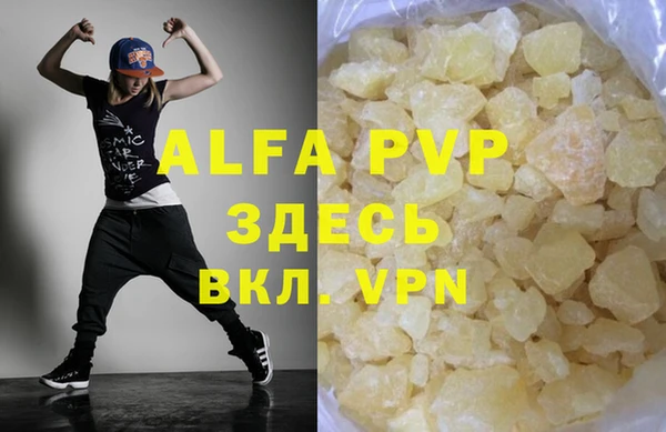 хмурый Бородино