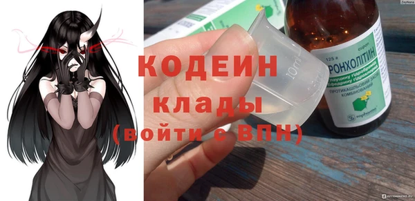 хмурый Бородино