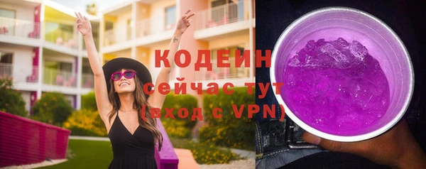 хмурый Бородино
