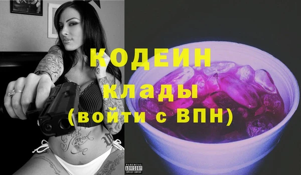 хмурый Бородино