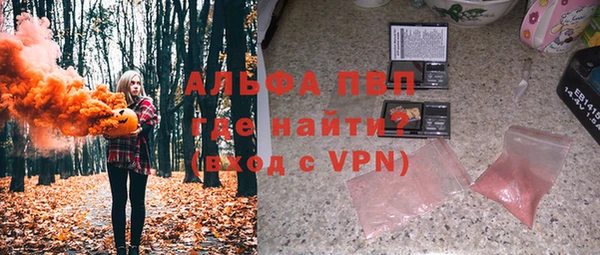 хмурый Бородино