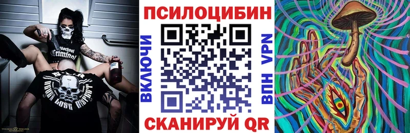 Купить  Нелидово  Псилоцибиновые грибы ЛСД 